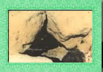 pour le tawkhite de baye laye